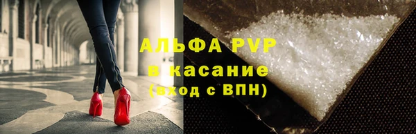 стафф Каменск-Шахтинский