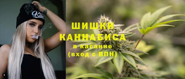 соль ск Алзамай
