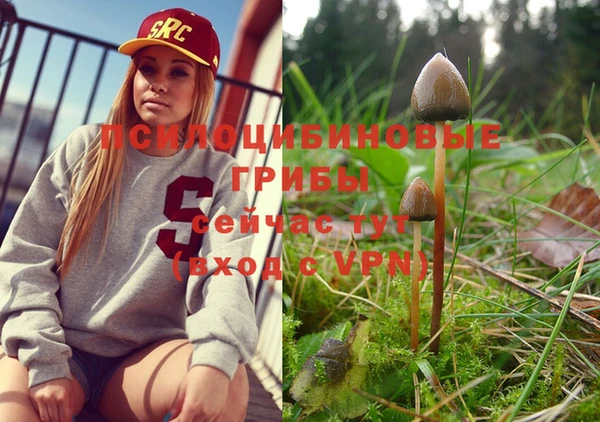 гидра Алексеевка