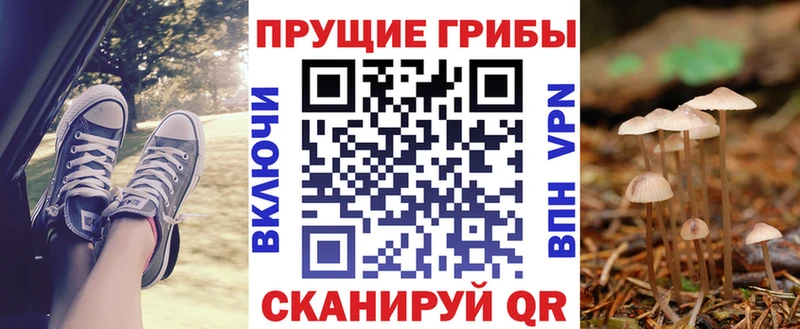 Псилоцибиновые грибы мицелий  сайты даркнета наркотические препараты  Луза 